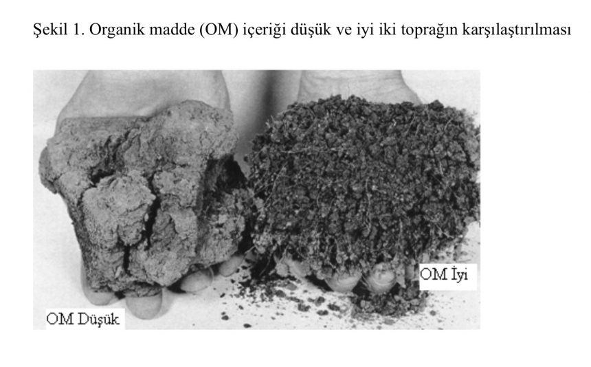 Organik Madde Neden Önemli