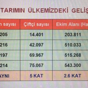 Organik Tarım Ülkemizde Ne Durumda?